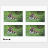 Jaguar sticker (Vel)