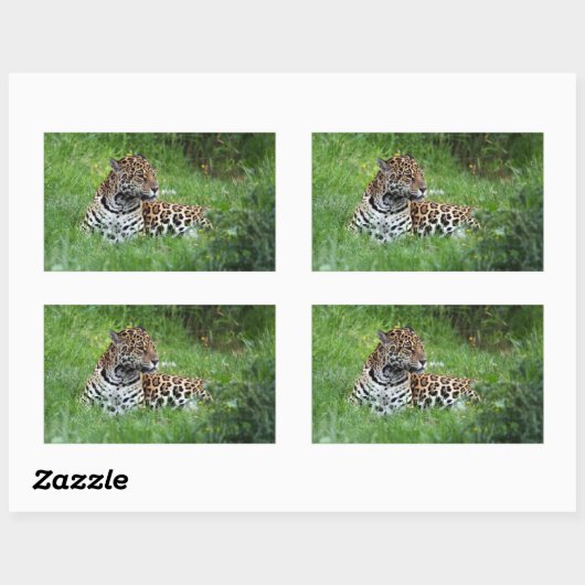 Jaguar sticker (Vel)