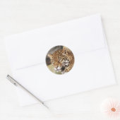 Jaguar Sticker (Envelop)