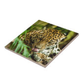 Jaguar Tegeltje (Zijkant)