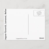 Jaguar Temple Briefkaart (Achterkant)