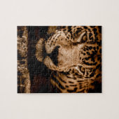 jaguar water dat ogen stalkt legpuzzel (Horizontaal)