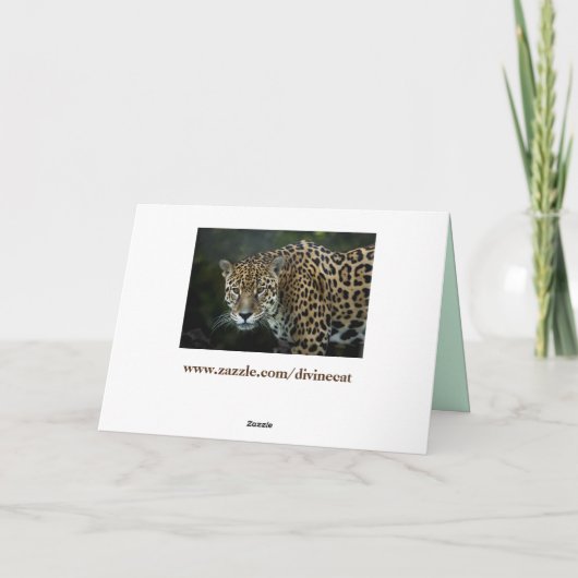 jaguar wenskaart kaart (Achterkant)