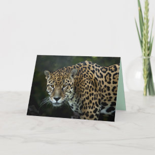 jaguar wenskaart kaart