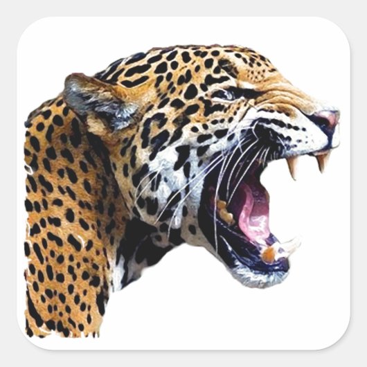 Jaguar - Wilde Cat Vierkante Sticker (Voorkant)