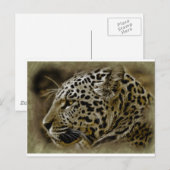 Jaguar wilde kat spot Afrikaanse safari bestemming Briefkaart (Voorkant / Achterkant)