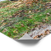 Jaguar XJS V12 Cabriolet Poster (Hoek)