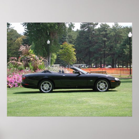 Jaguar XK8 Convertible Poster (Voorkant)
