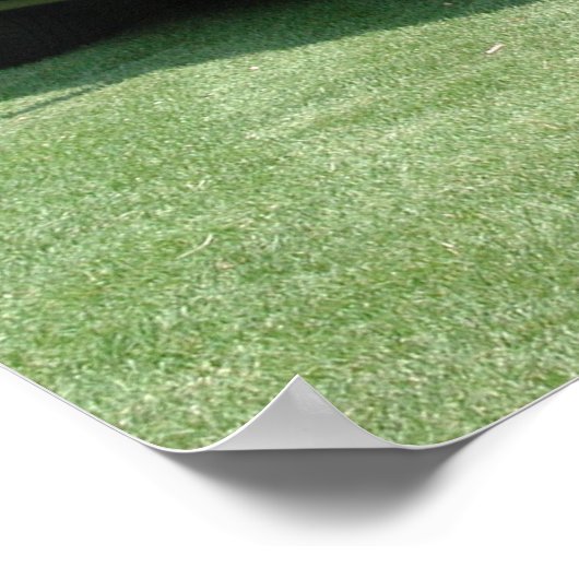 Jaguar XK8 Convertible Poster (Hoek)