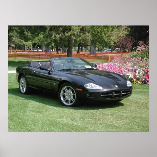 Jaguar XK8 Convertible Poster (Voorkant)