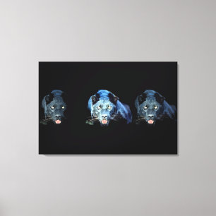 Jaguar - Zwart Panter Verpakt Canvas - 3 Canvases