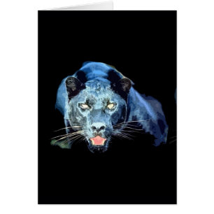 Jaguar - Zwarte Panther