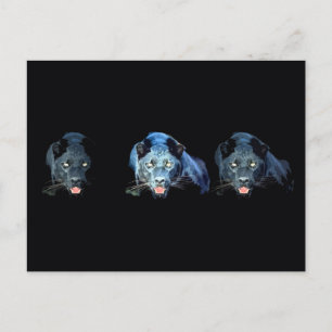 Jaguar - Zwarte Panther Briefkaart