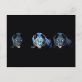 Jaguar - Zwarte Panther Briefkaart (Voorkant)