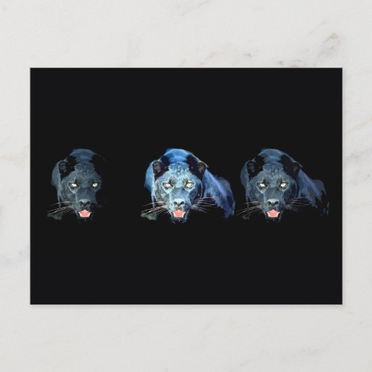 Jaguar - Zwarte Panther Briefkaart (Voorkant)