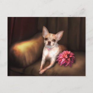 Jaguaroman's "Chihuahua Portrait I" Briefkaart