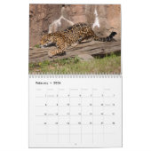 Jaguars Calendar Kalender (Feb 2026)