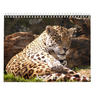 Jaguars Calendar Kalender