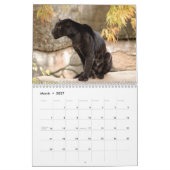 Jaguars Calendar Kalender (Mar 2027)