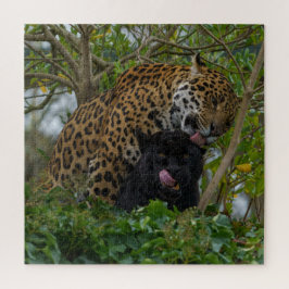 Jaguars in Love Legpuzzel