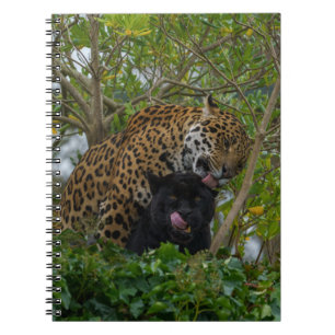 Jaguars in Love Notitieboek