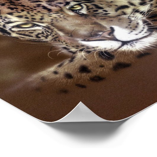Jaguars Poster (Hoek)