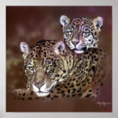 Jaguars Poster (Voorkant)