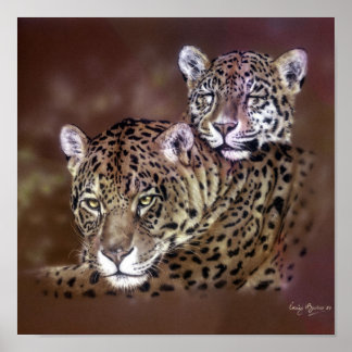 Jaguars Poster