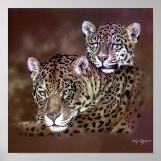 Jaguars Poster (Voorkant)