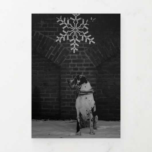 Jahresrückblick Fotos Karte Drieluik Wenskaart (Cover)