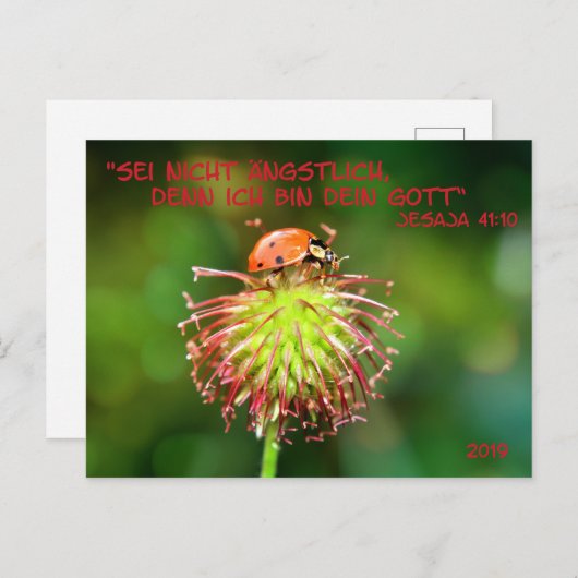 Jahrestext 2019 briefkaart (Voorkant / Achterkant)