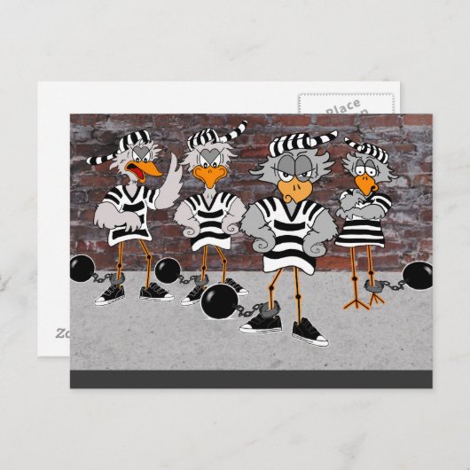 Jailbird Postcard Briefkaart (Voorkant / Achterkant)