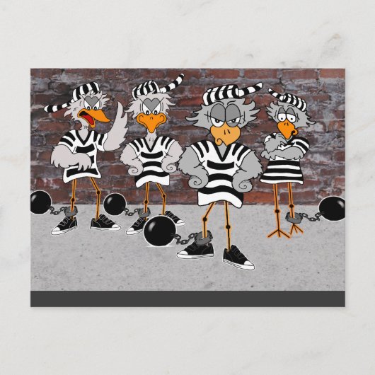 Jailbird Postcard Briefkaart (Voorkant)