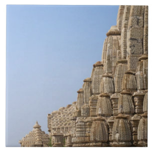 Jain tempel in Chittorgarh Fort, India Tegeltje