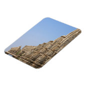 Jain temple in Chittorgarh Fort, India Magneet (Linkerzijde)