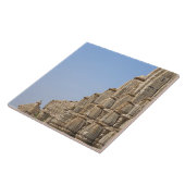 Jain temple in Chittorgarh Fort, India Tegeltje (Zijkant)