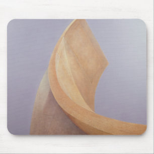 Jaipur Observatory Muismat