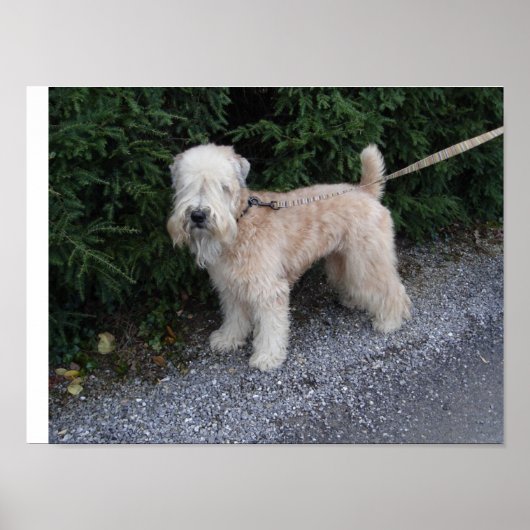 Jake bij de Biltmore Poster (Voorkant)