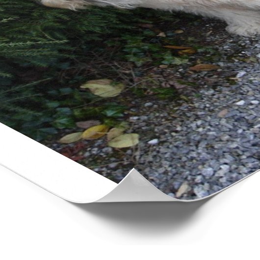 Jake bij de Biltmore Poster (Hoek)