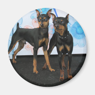 Jake & Elwood - Min Pin Magneet