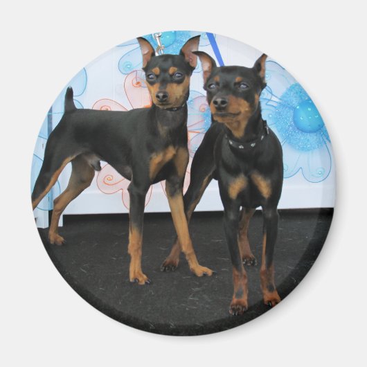 Jake & Elwood - Min Pin Magneet (Voorkant)