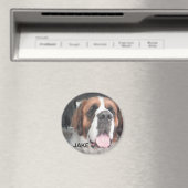 JAKE MAGNEET (Insitu (Vaatwasser))