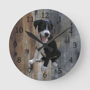 Jake The Farm Dog with Barnwood Background Ronde Klok