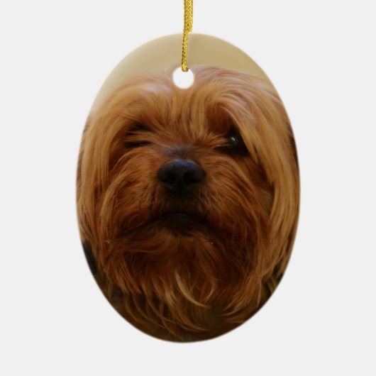 Jake The Yorkie Terrier Keramisch Ornament (Voorkant)