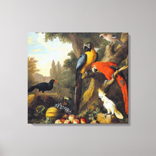 Jakob bogdani Two Macaws a Cockato a Red-billing Canvas Afdruk (Voorkant)