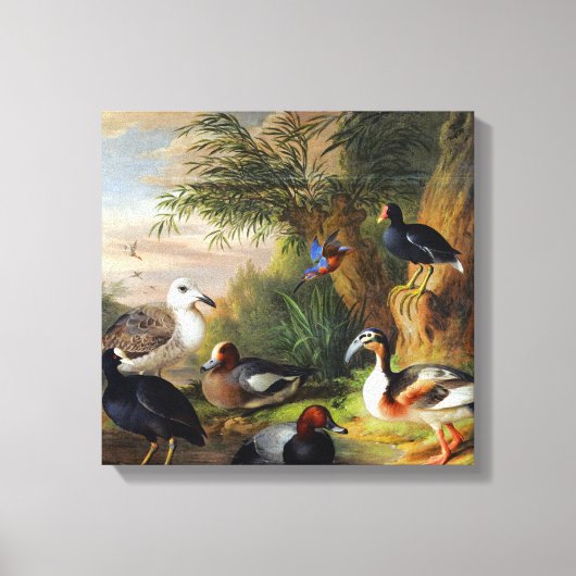 Jakob Bogdani Vogels in een landschap Canvas Afdruk (Voorkant)