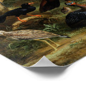  Jakob Bogdani vogels in een landschap Poster (Hoek)