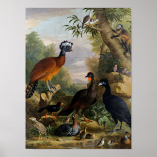  Jakob Bogdani vogels in een landschap Poster