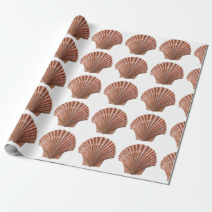 Jakobsschelpen Cadeaupapier