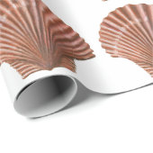Jakobsschelpen Cadeaupapier (Rol Hoek)